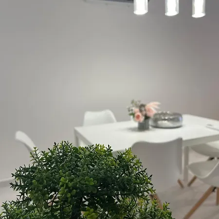 Apartment Center-apartment In Heart Of Center *